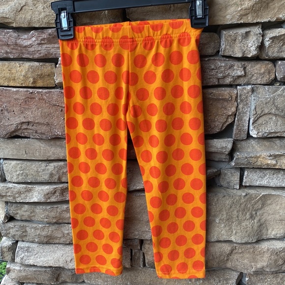 NWT Emily Rose 2 Piece Girls Thanksgiving Outfit Top-Dress and Pants - Picture 11 of 12